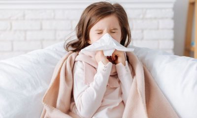 flu virus Thailand