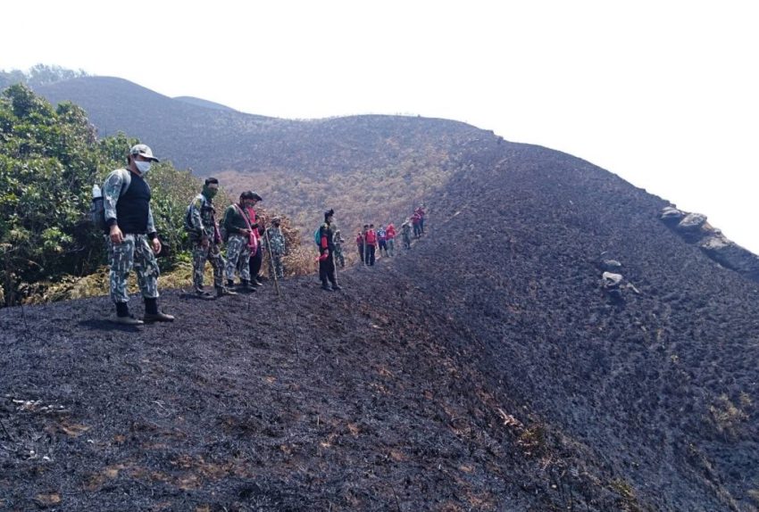 Wildfire threatens wild elephant habitat