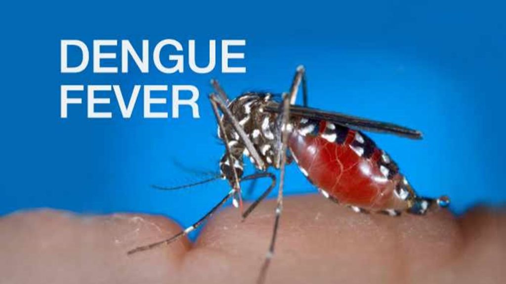 dengue fever outbreak northeastern thailand,