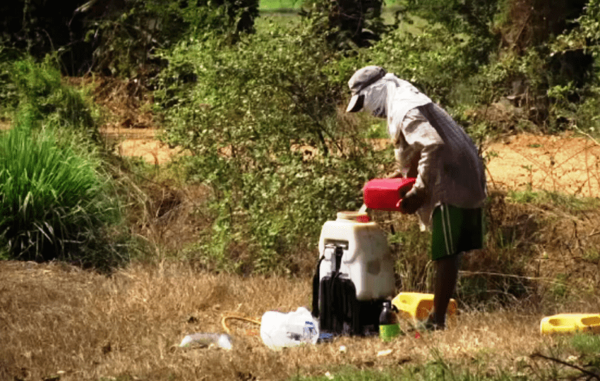 Thai Farmers, Hazardous Chemicals, Thailand