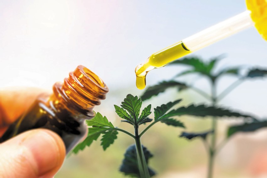 Difference Between CBG Oil and Cannabidiol (CBD) Oil