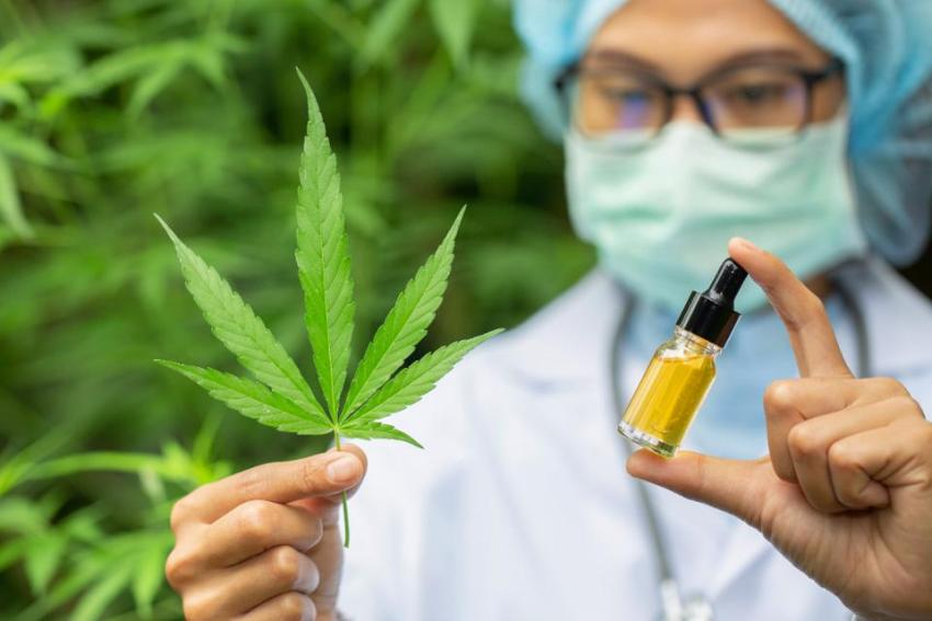 Cannabinoids, Cannabis, Cancer treatment