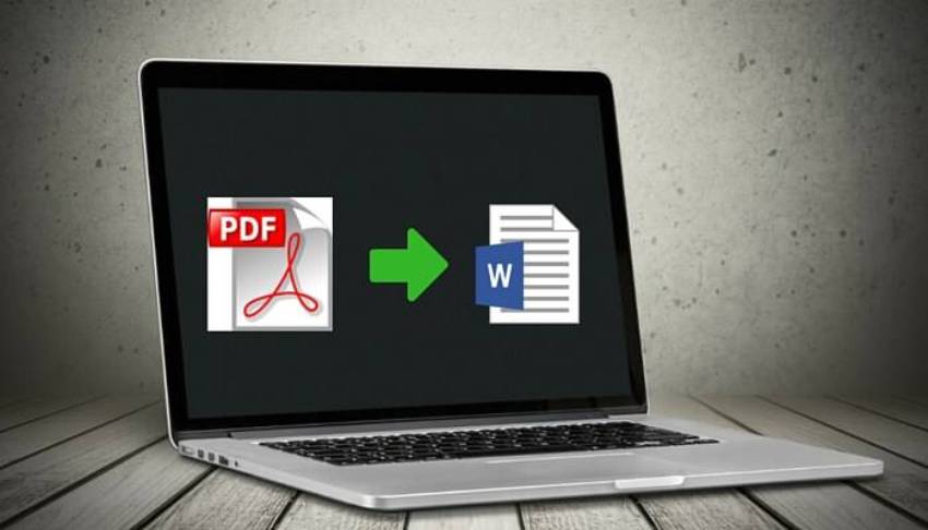 PDF To Word: The Fastest Way To Convert Through PDFBear