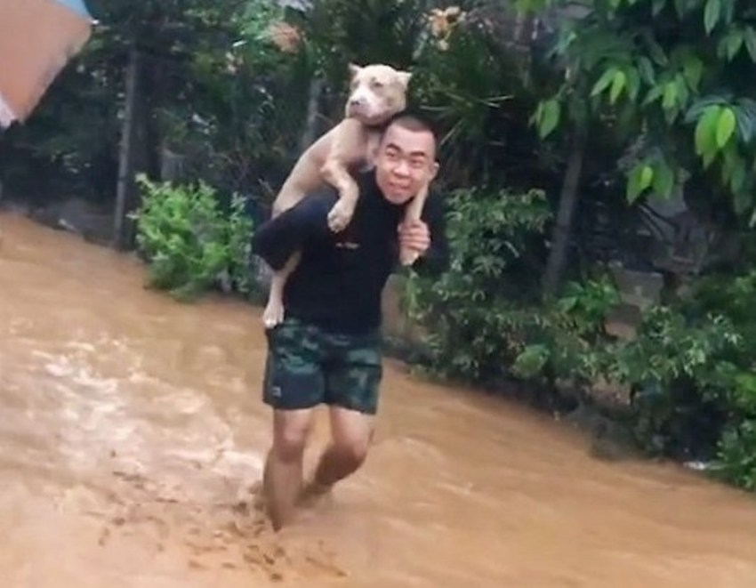 Chiang Rai, Thailand, Flooding, Floods