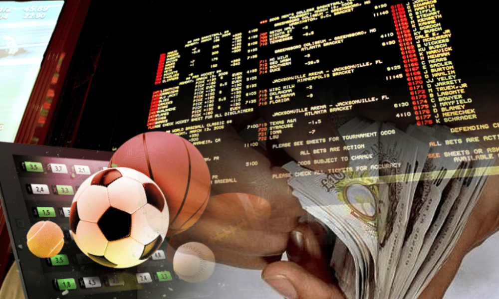 What To Look For in a Reputed Online Sports Betting Site