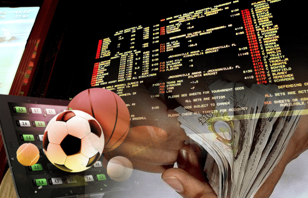 What To Look For in a Reputed Online Sports Betting Site