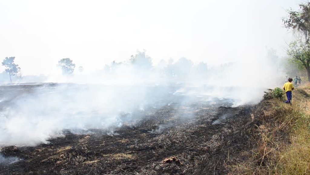 Prime Minister, Thailand, Haze, Chiang Rai