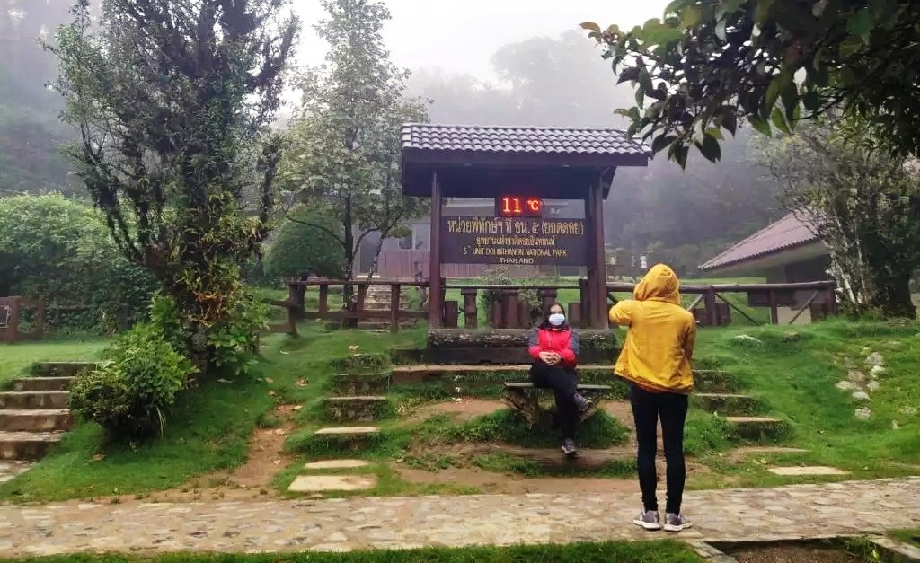 Tourists Enjoy 11-Degree Weather at Doi Inthanon in Chiang Mai