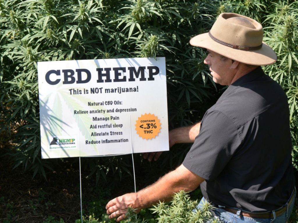 Farmer’s Seeing the Economic Benefit With the Demand for CBD