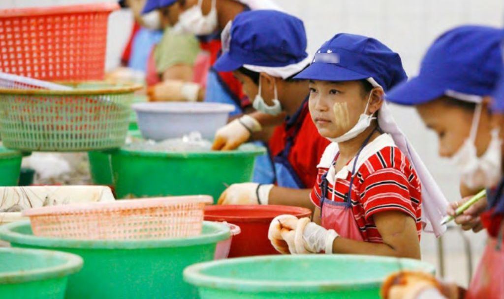 School , Migrant Children, Thailand, Seafood Industry