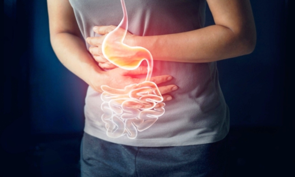 6 Unique Things That Harm Your Gut Bacteria in Your Digestive System