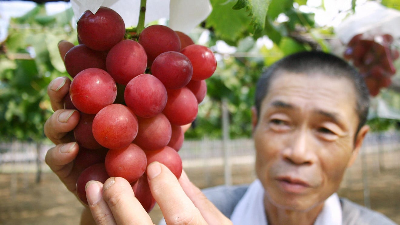 Tests on Thai Fruit Finds Red Grapes with High in Chemical Contamination