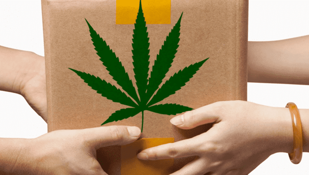 Things to Know about Ordering Cannabis Online in Europe