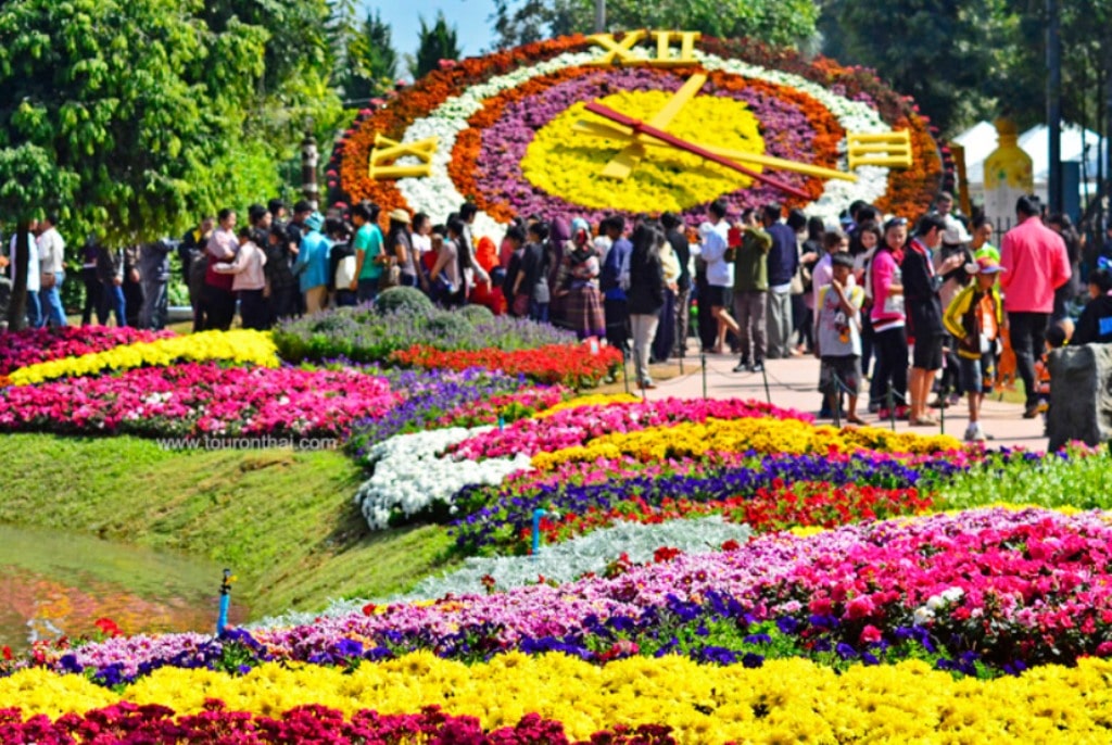 Chiang Rai ASEAN Flower Festival 2020 Opens Christmas Day