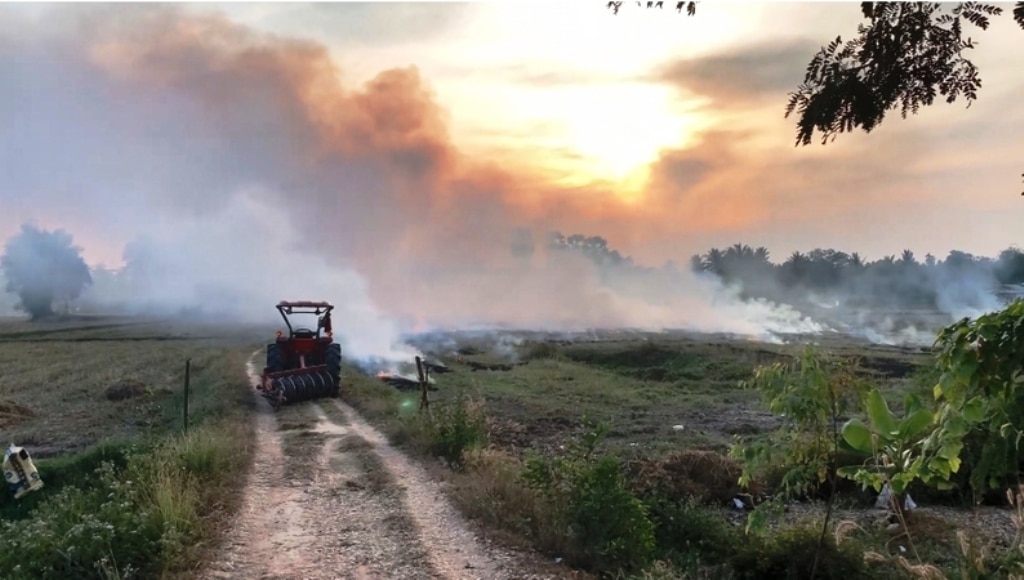 Authorities Intensify Efforts to Reduce Field Burning in Northern Thailand