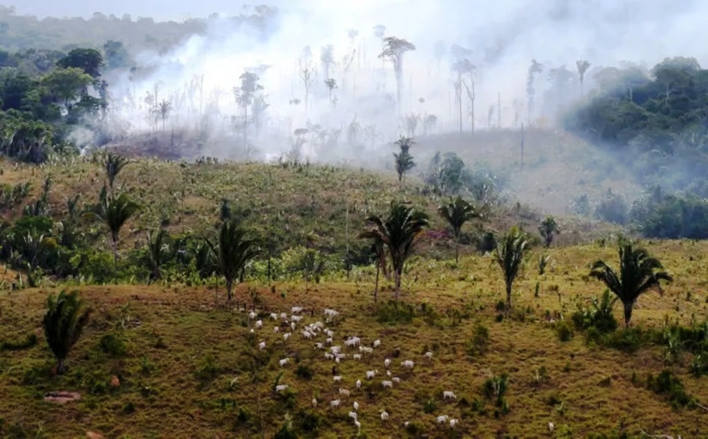 Food Production is the Primary Driver of Biodiversity Loss