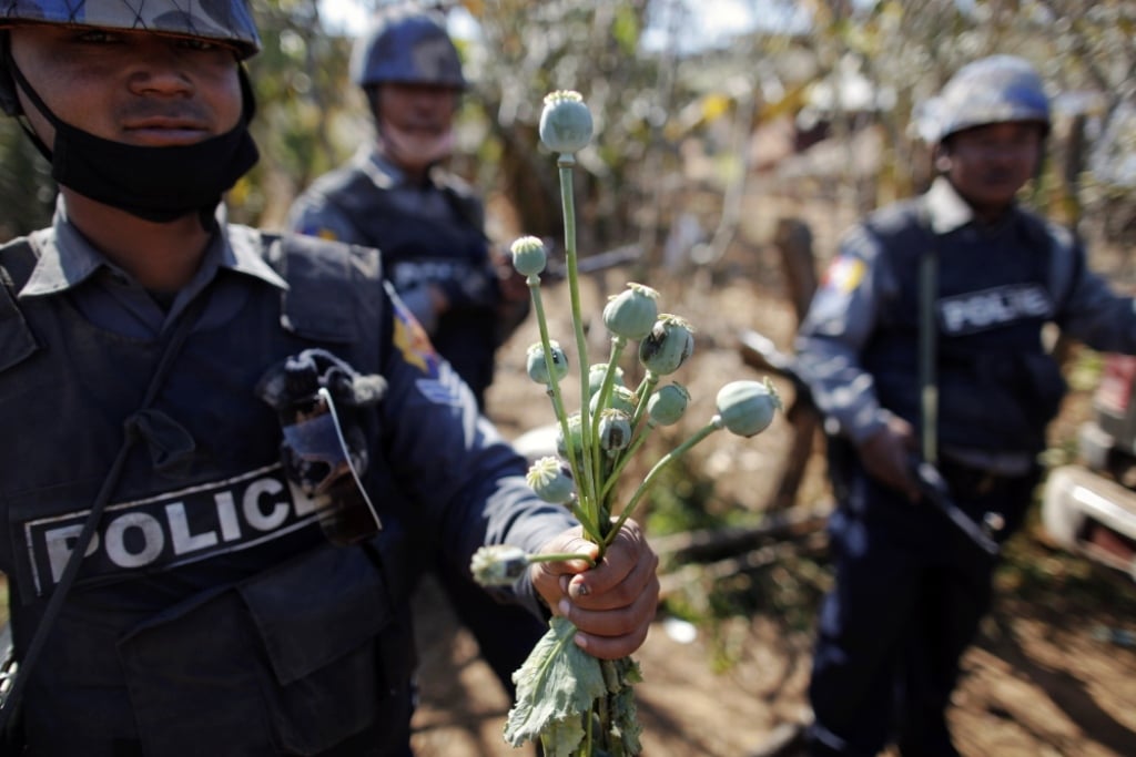 Opium Production Drops in Myanmar as Synthetic Drug Market Expands