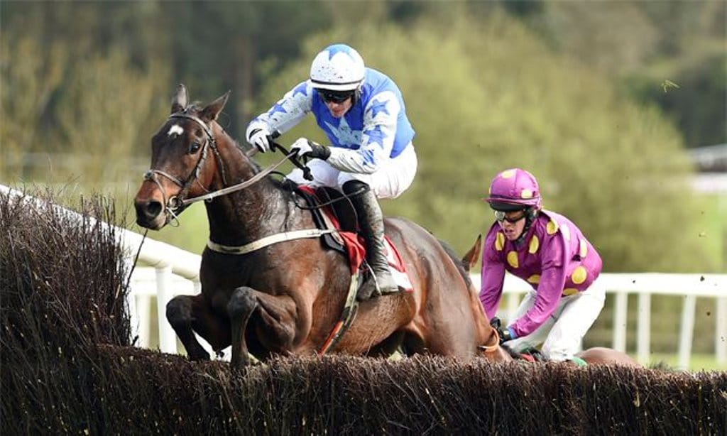 Victory in Irish Gold Cup Makes Kemboy a Major Cheltenham Contender