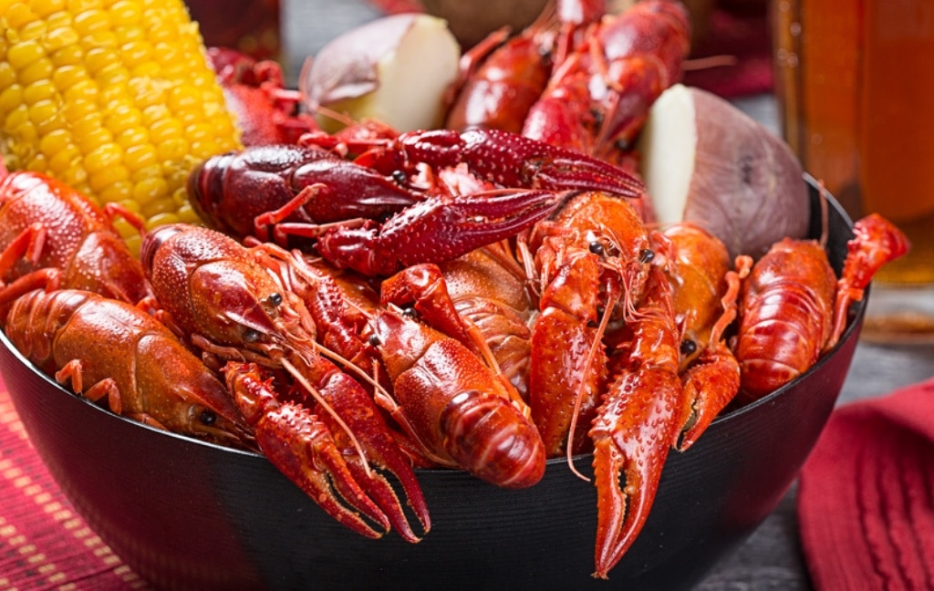 Crayfish: A Southern Recipe for a Delicious Crawfish