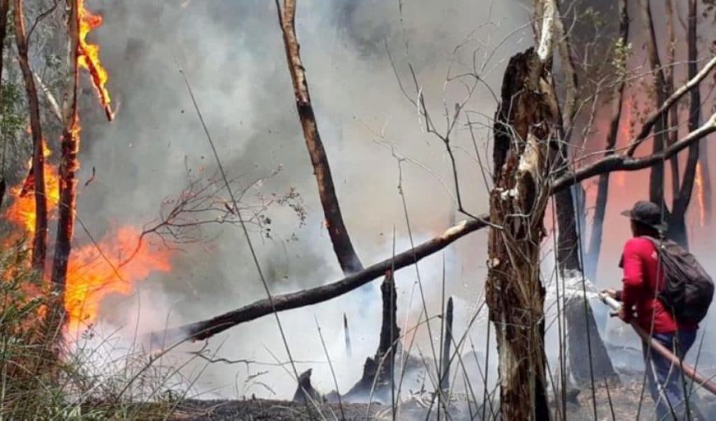 Firefighters Struggling to Combat Brush Fires in Northern Thailand