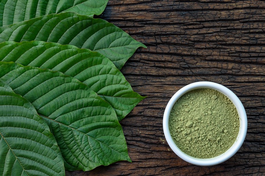 Learning the Healing Properties of Kratom Powder from Southeast Asia