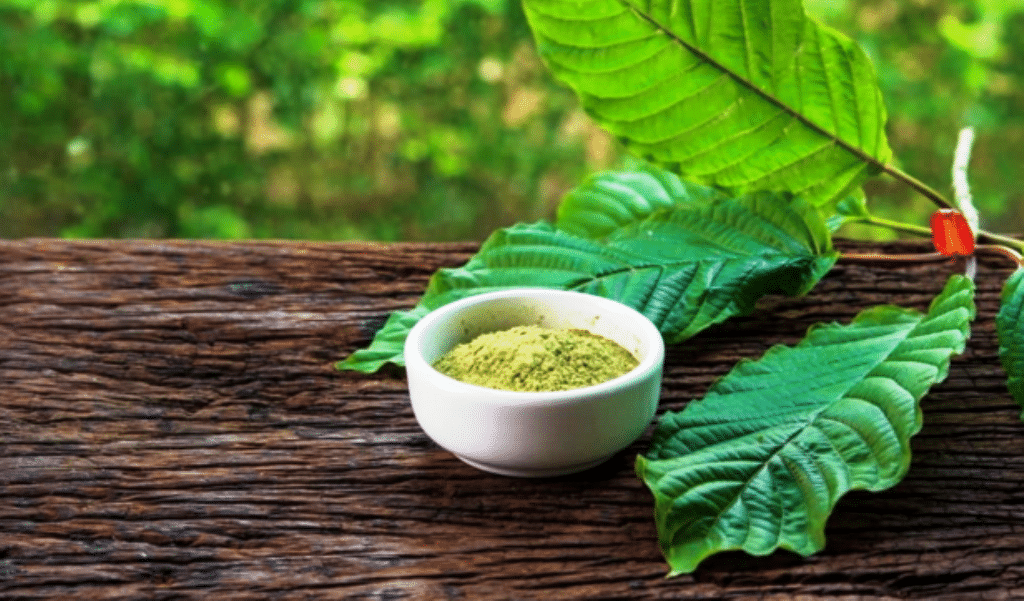 Learning the Healing Properties of Kratom Powder from Southeast Asia