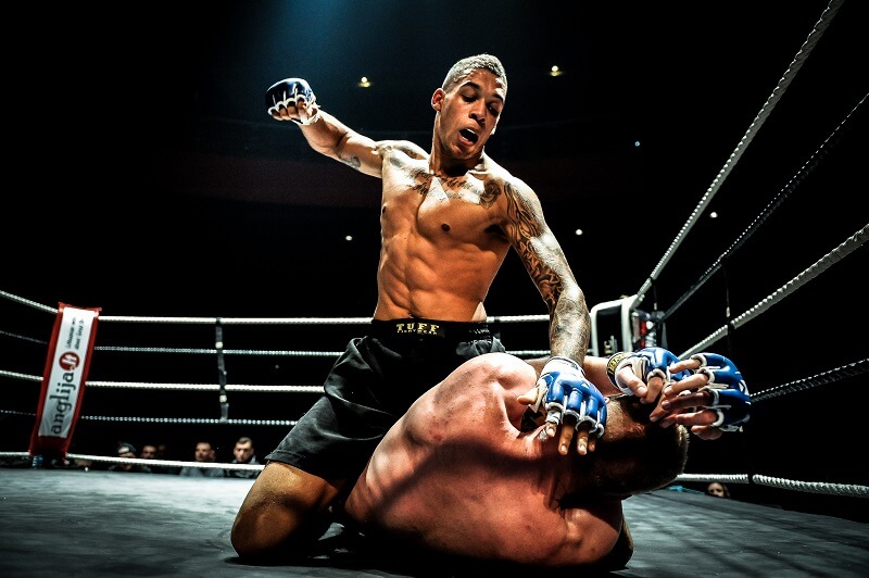 best grappling gloves