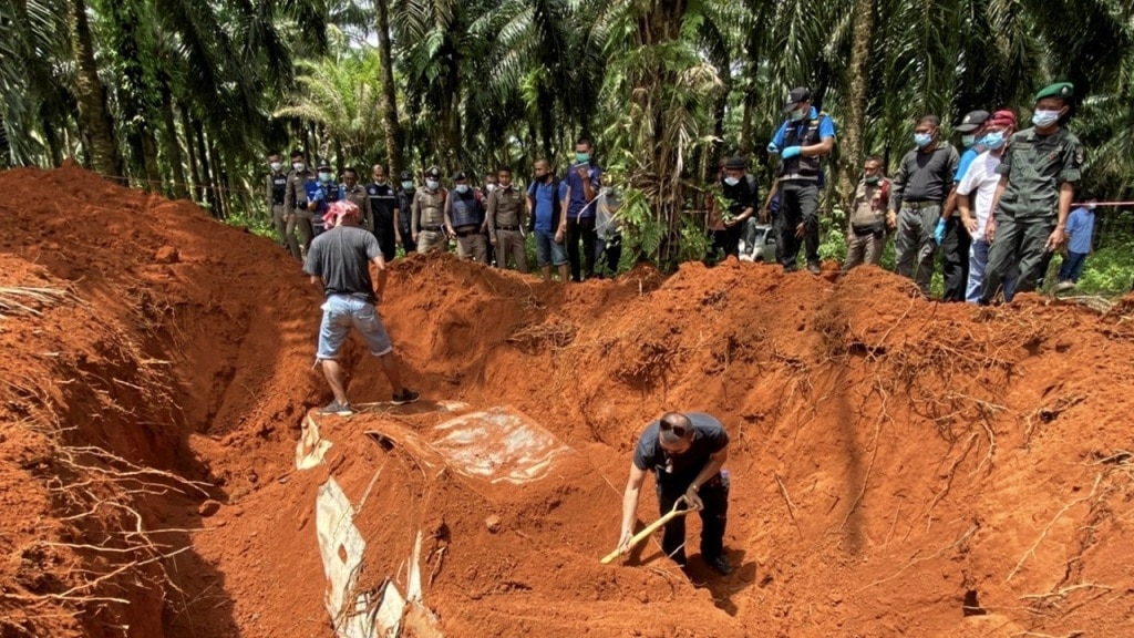 ,Krabi, Rubber, Plantation