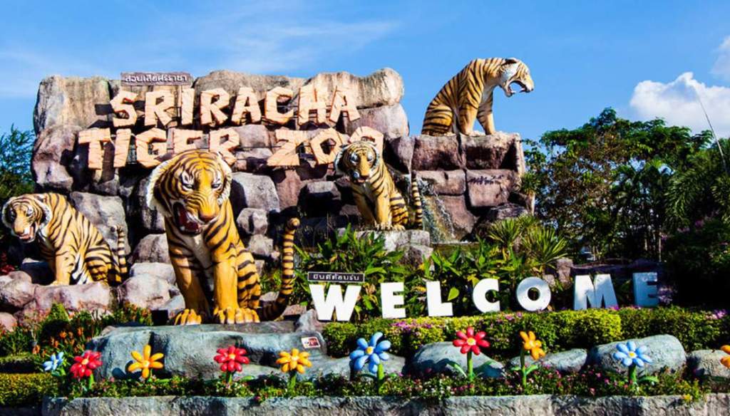 Owners of Sriracha Tiger Zoo Rebuff Facebook Closure Statement