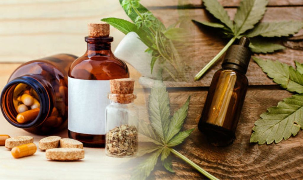 CBD Capsules or CBD Oil: How to Pick Your Cannabidiol Product