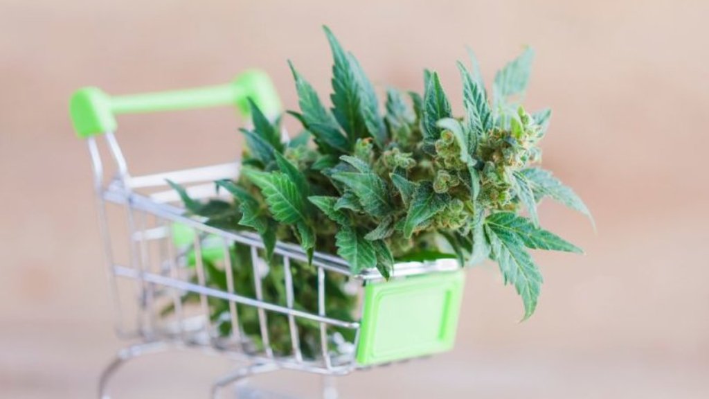 Where to Find Weed Online in 2021: Learn How to Buy Weed Online