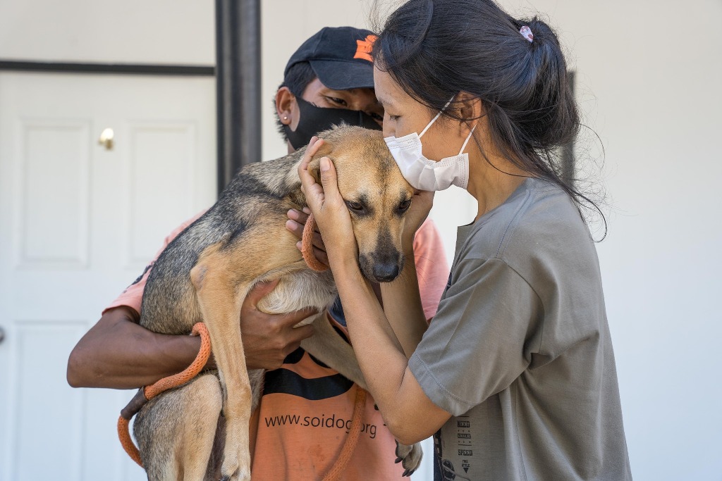 Soi Dog Foundation Houses a Record Number of Rescued Dogs in U.S.