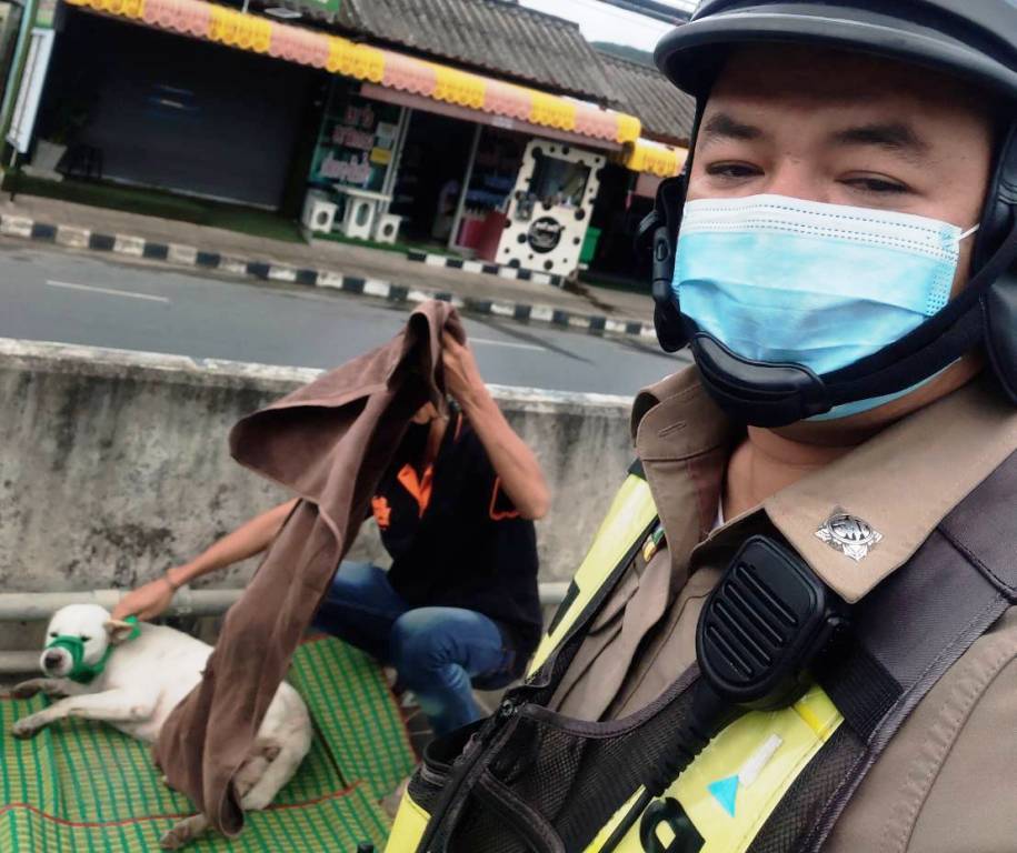 Phuket Police Officers Come to the Rescue of Injured Dog Hit by Car