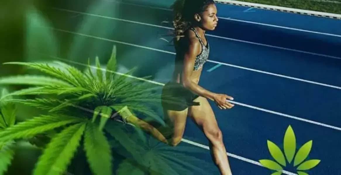 BENEFITS OF USING CANNABIS FOR ATHLETES