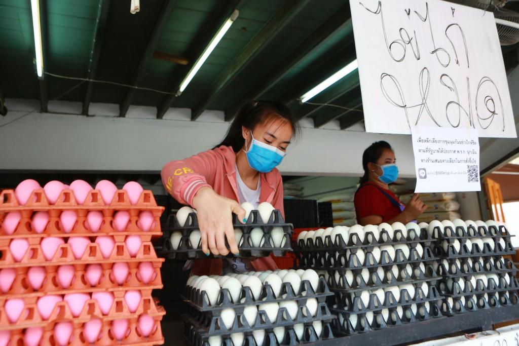 Egg Vendors in Thailand Threaten with Jail Over Price Gouging