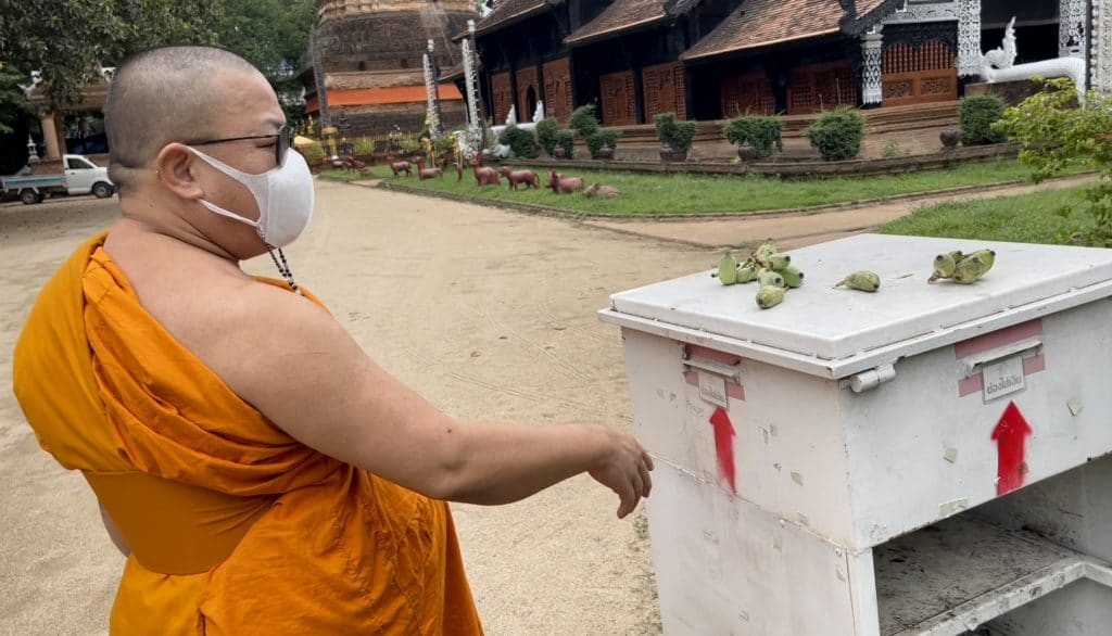 Chiang Mai, Northern Thailand Temple Ends Happiness Box Due to Abuse and Greed
