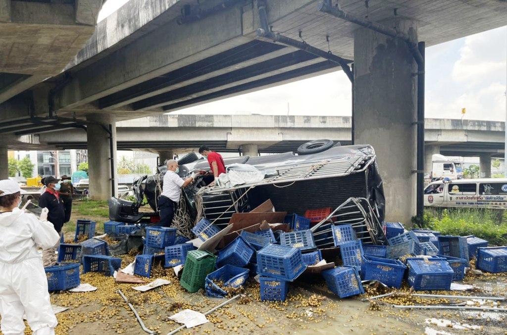 Thailand-pickup truck-toyota