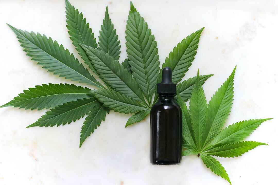 CBD Nerds: Your Trusted CBD Source for Newbies