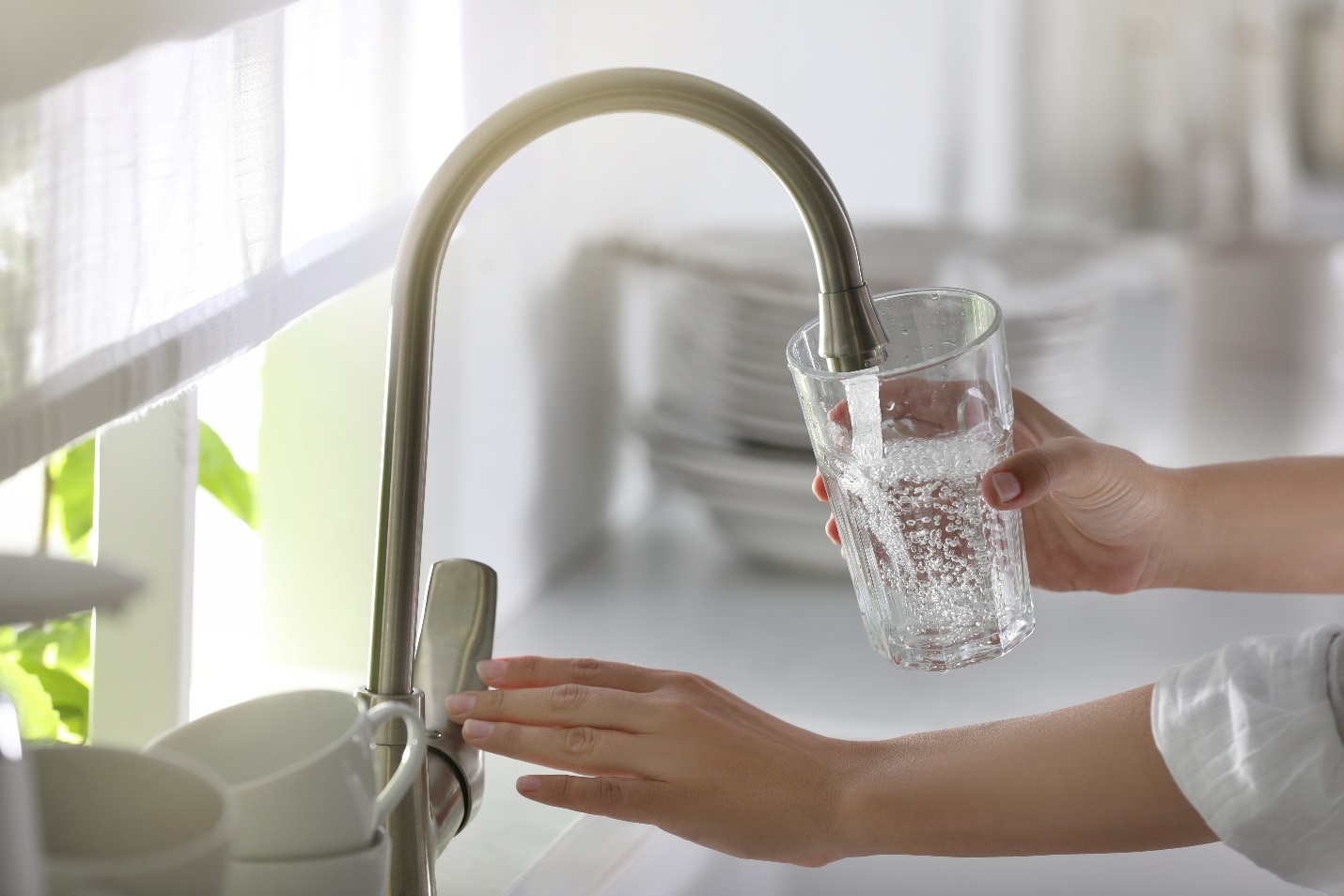 A person pouring a liquid into a glass

Description automatically generated with low confidence