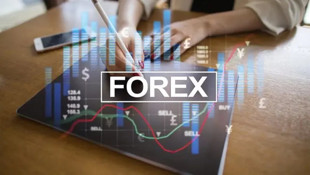 Learning the Necessary Documents to Get a Forex License