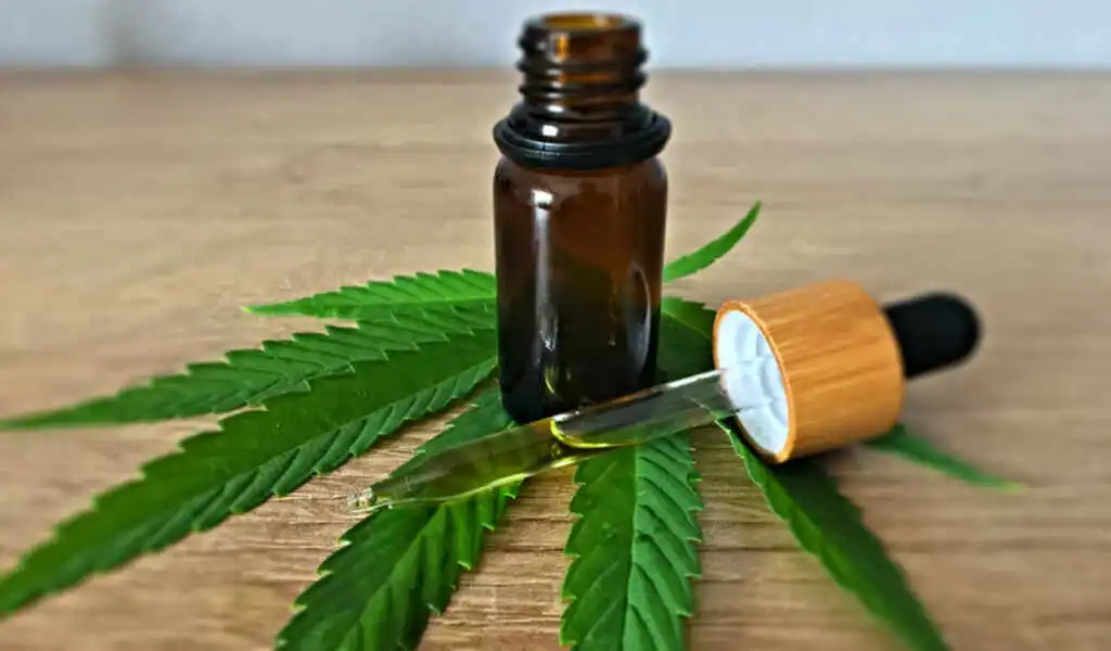 CBD oil, Hemp oil