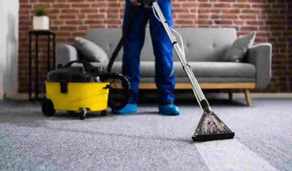 carpet cleaning services