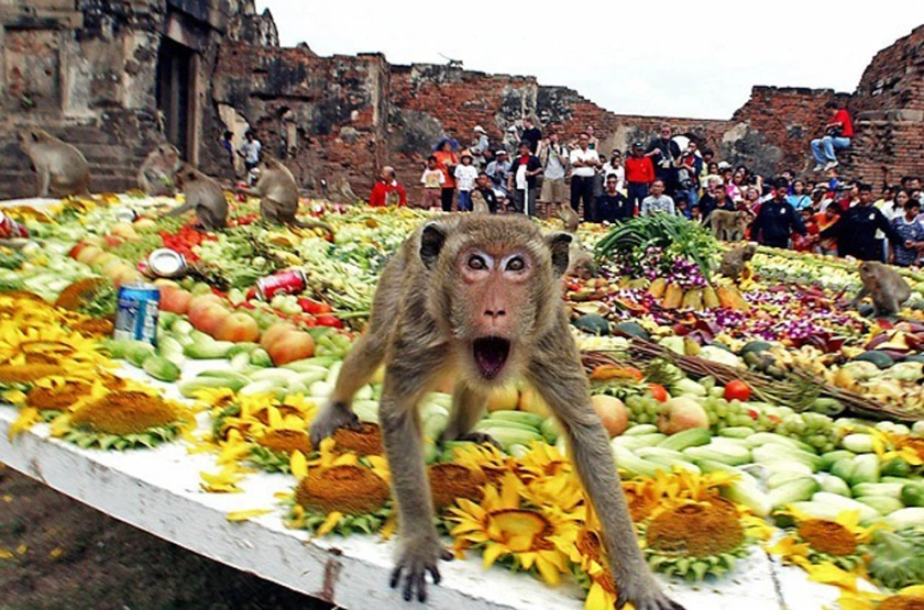 Food Galore: Thailand's Monkey Banquet Festival Returns