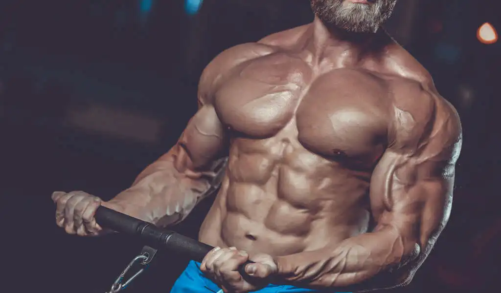 Solid Reasons To Avoid triple x steroids