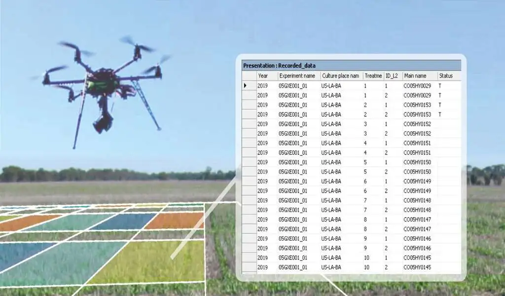 Drone Data Collection Software