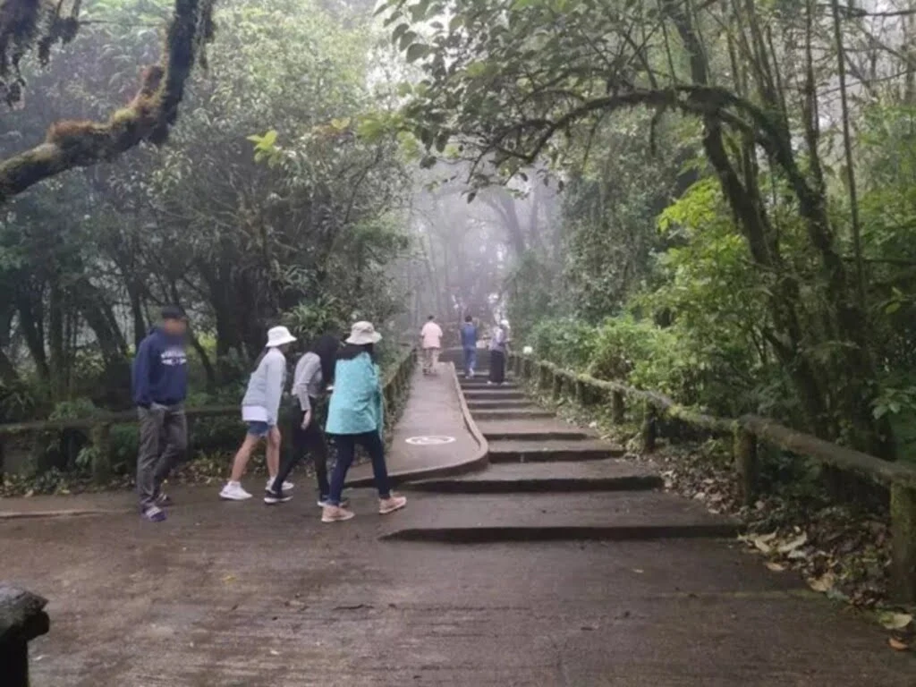 Tourists Bring Life Back to Chiang Mai in Northern Thailand