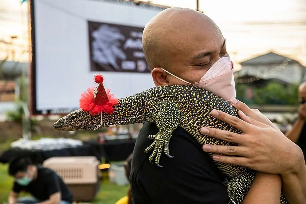 Bangkok Restaurant Hold Christmas Party for Monitor Lizard Lovers