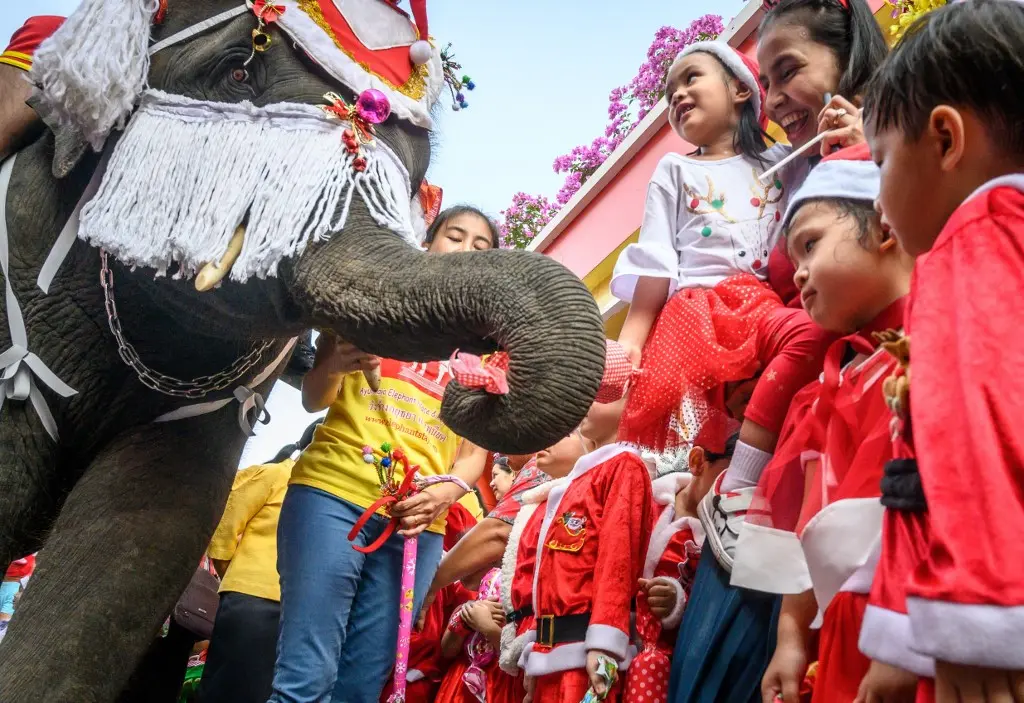 Elephant Santa's Bring Christmas Joy to Children in Thailand