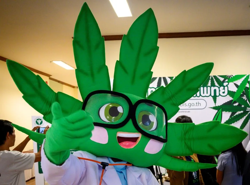 Thai Lawmakers to Push for Full Marijuana Legalisation