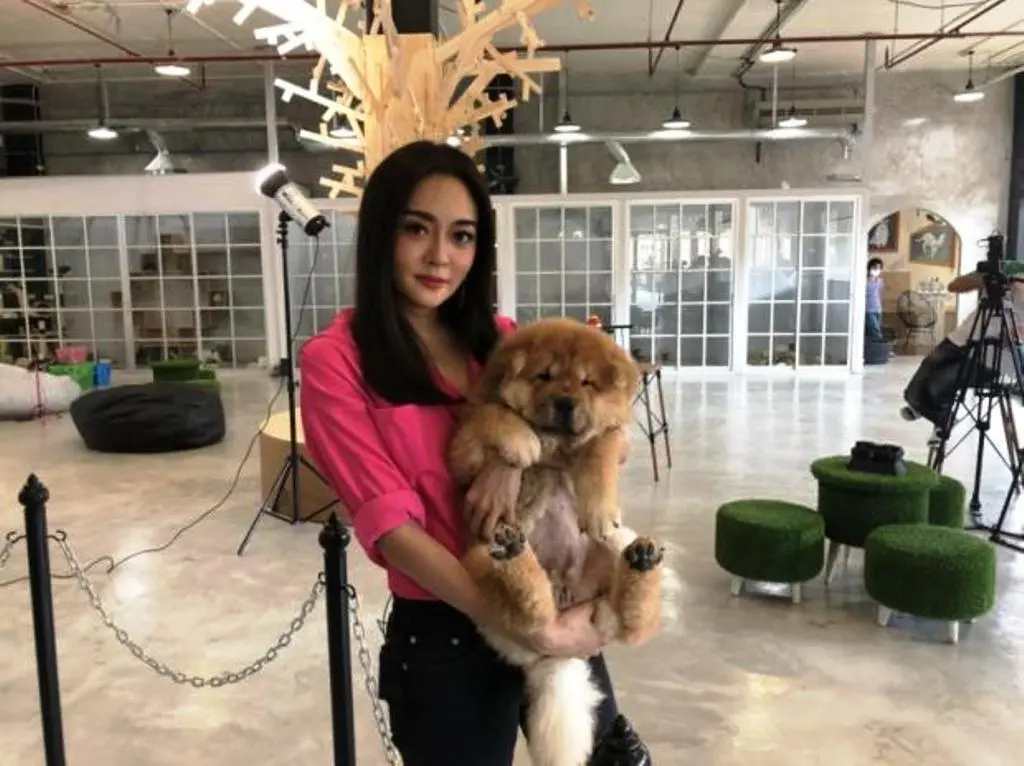Thai Millennials Choosing to Become Pet Parents